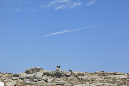 exclusive-villa-sea-view-01