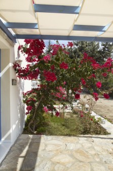 villa-sea-view-naxos-08